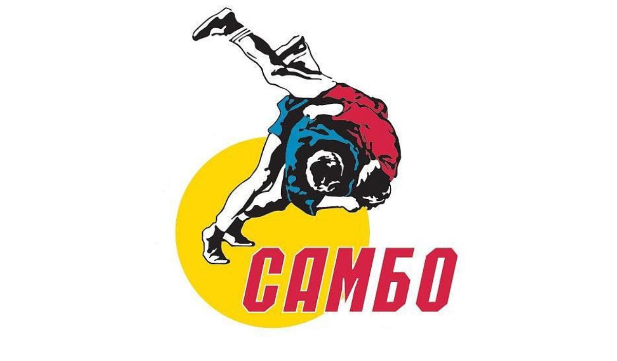 Итоги всероссийского дня самбо